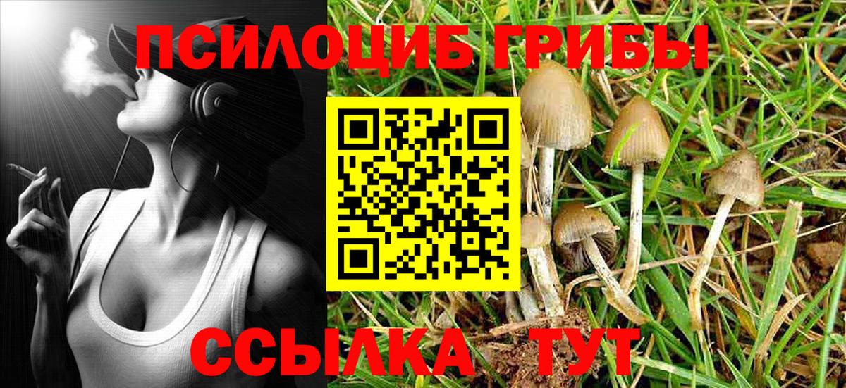 Галлюциногенные грибы MAGIC MUSHROOMS Кириши