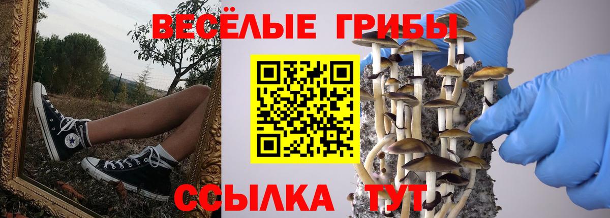 Кириши  Псилоцибиновые грибы мухоморы  Вход с VPN 